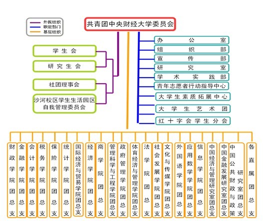 团委组织架构图